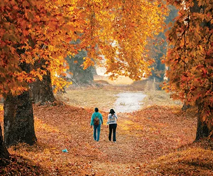 Whispers of Kashmir: A Journey Through Heaven on Earth