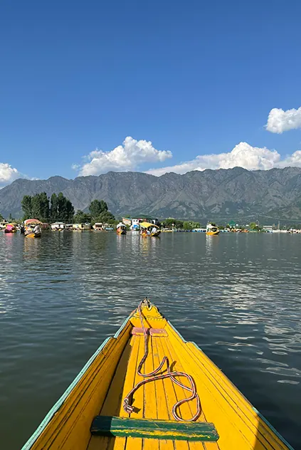 Dal lake