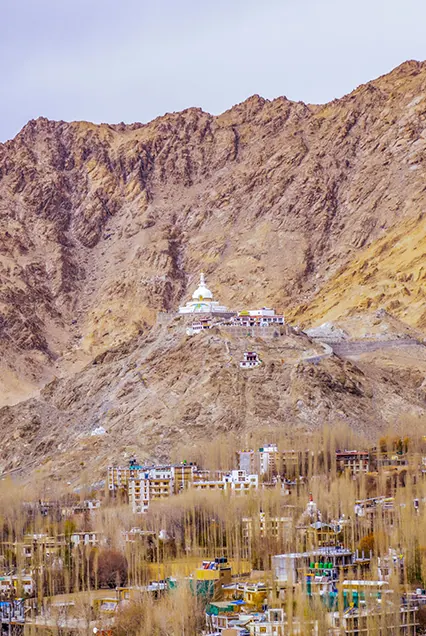 Leh