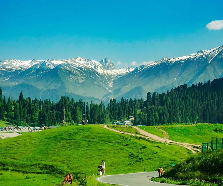 Gulmarg