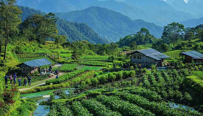 Sikkim & Darjeeling Tour – 3 Nights / 4 Days