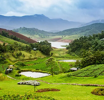 Ooty Tour – 2 Nights / 3 Days photo 2