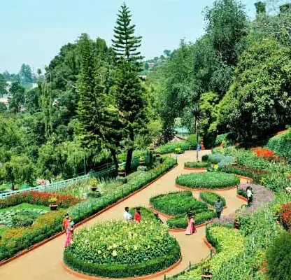 Ooty Tour – 3 Nights / 4 Days photo 2