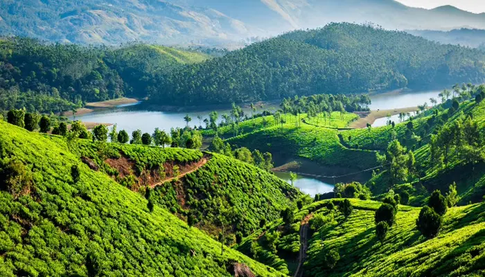 Kerala Tour – 4 Nights / 5 Days