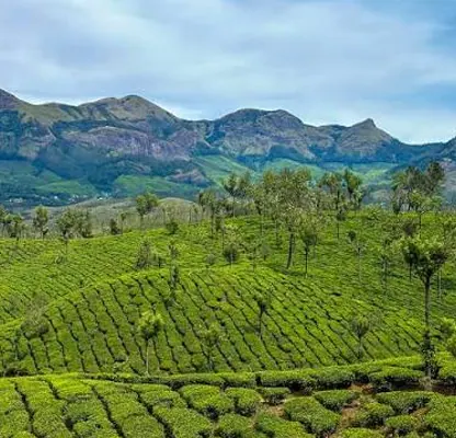 Kerala Tour – 4 Nights / 5 Days photo 2