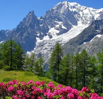 Shimla Manali Tour Itinerary – 5 Nights | 6 Days photo 2