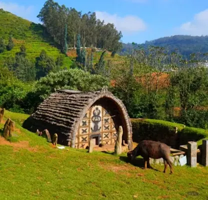 Ooty Tour – 2 Nights / 3 Days photo 4