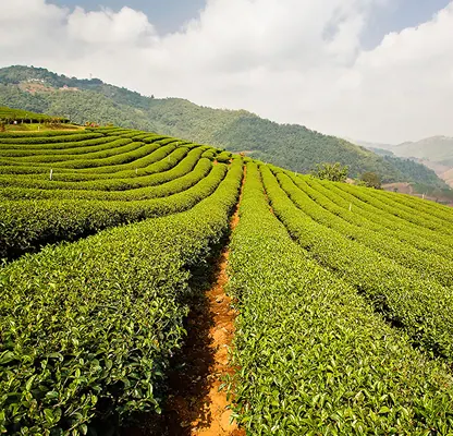 Sikkim & Darjeeling Tour – 4 Nights / 5 Days photo 4