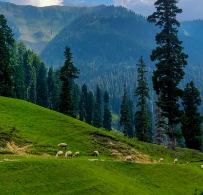 7N | 8D Gurez – Keran Offbeat Kashmir Tour photo 4
