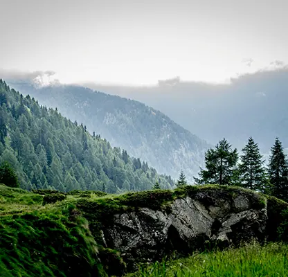 Kashmir 4N | 5D Tour photo 4