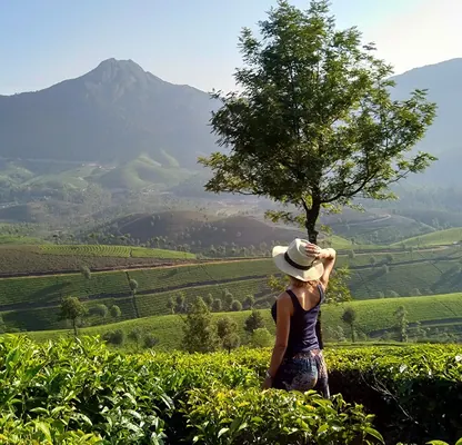 Kerala Tour – 4 Nights / 5 Days photo 3