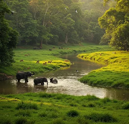 Kerala Tour – 5 Nights / 6 Days photo 3