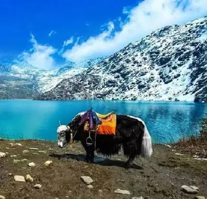 Sikkim & Darjeeling Tour – 3 Nights / 4 Days photo 4