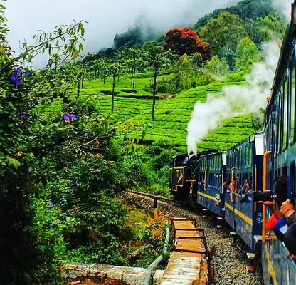 Ooty Tour – 3 Nights / 4 Days photo 4