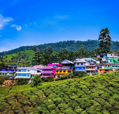 Kerala Tour – 3 Nights / 4 Days photo 4