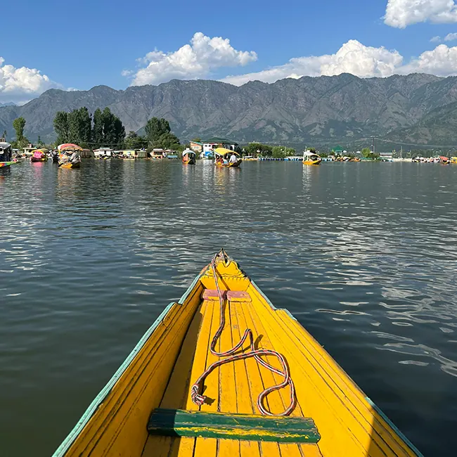 Kashmir